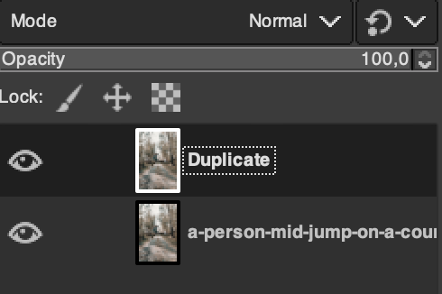 Duplicated layer